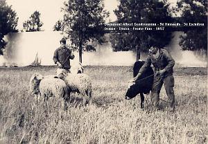 9 EME HUSSARDS DE ALBERT GENDRONNEAU 3 EME ESCADRON 1956 1957 (28)